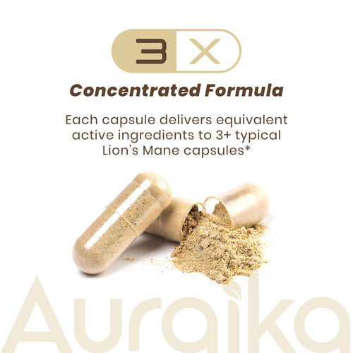 Auraika Lion’s Mane — Brain & Focus Formula