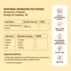 Auraika Lion’s Mane — Brain & Focus Formula