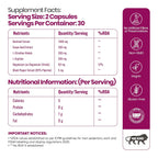Auraika Beetroot — Circulation & Performance Formula
